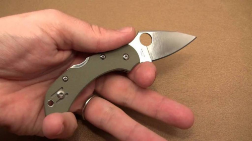 Складной нож Spyderco Dragonfly 2 Foliage Green - C28GPFG фото 17 Складной нож Spyderco Dragonfly 2 Foliage Green - C28GPFG фото 17