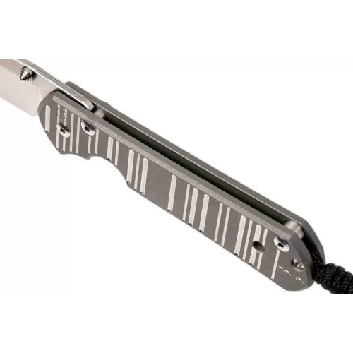 Складной нож Chris Reeve Large Sebenza 21 Think Twice фото 2 Складной нож Chris Reeve Large Sebenza 21 Think Twice фото 2