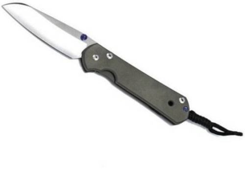 Складной нож Chris Reeve Large Sebenza 21 Insingo фото 7